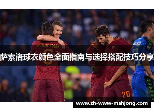 萨索洛球衣颜色全面指南与选择搭配技巧分享