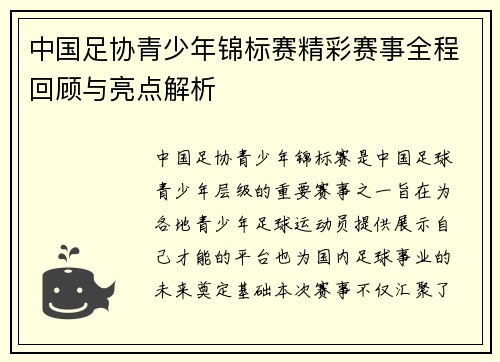 中国足协青少年锦标赛精彩赛事全程回顾与亮点解析